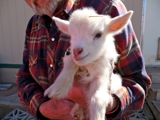 My Rescue Story_Photo 4