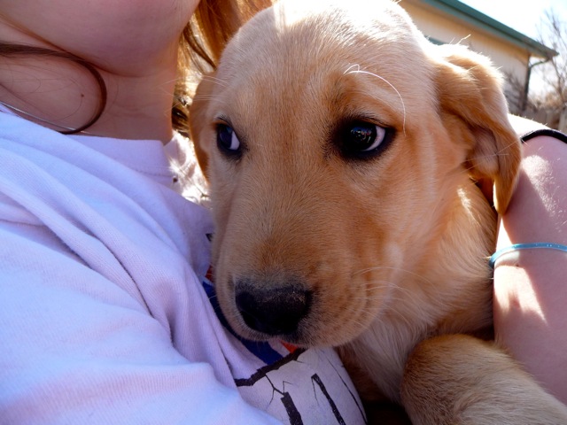My Rescue Story_Photo 6