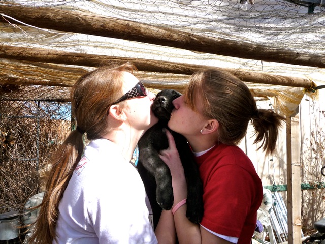 My Rescue Story