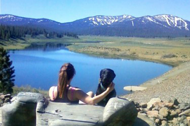 Why Dogs Make Great Sidekicks_Photo 1