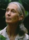 Jane Goodall
