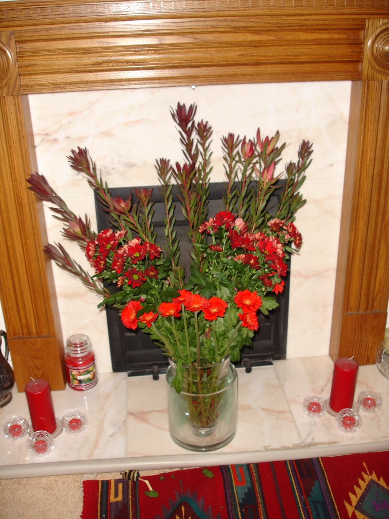 gerbera daisies