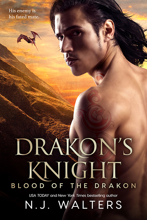 Drakon's Knight