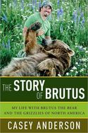 The Story of Brutus