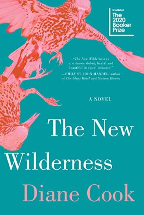 THE NEW WILDERNESS