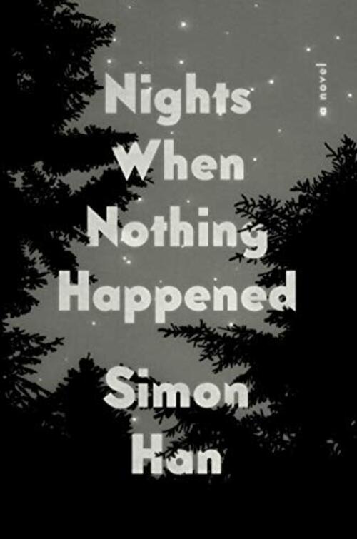 NIGHTS WHEN NOTHING HAPPENED