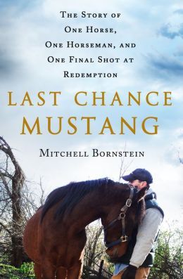 LAST CHANCE MUSTANG