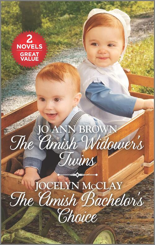 The Amish Widower's Twins by Jocelyn McClay