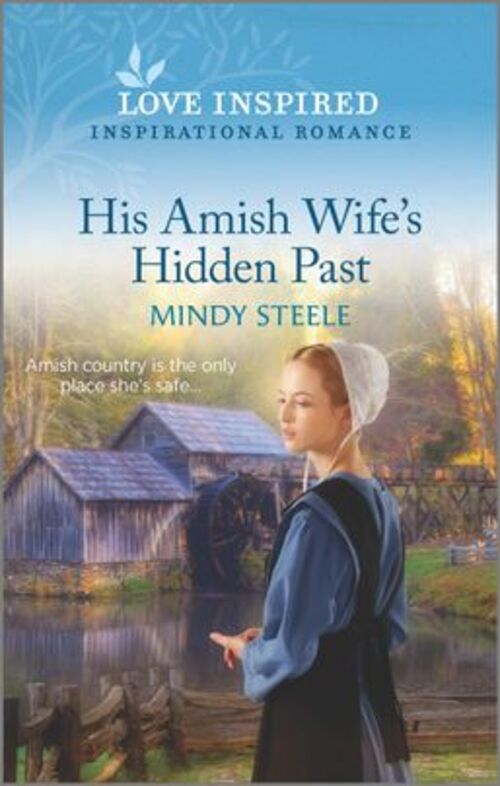 HIS AMISH WIFE'S HIDDEN PAST