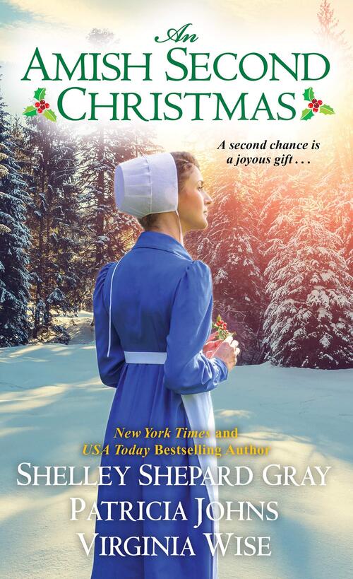 An Amish Second Christmas by Virginia Wise