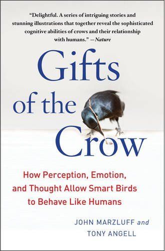 GIFTS OF THE CROW