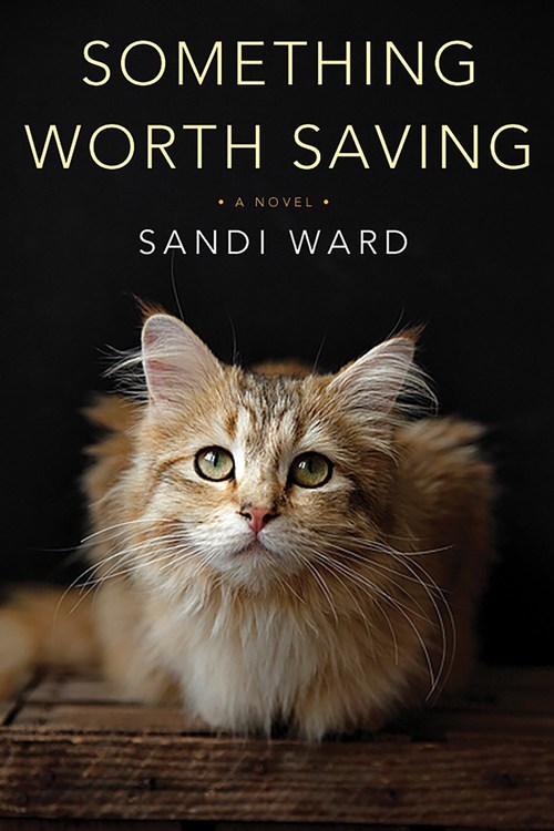 SOMETHING WORTH SAVING