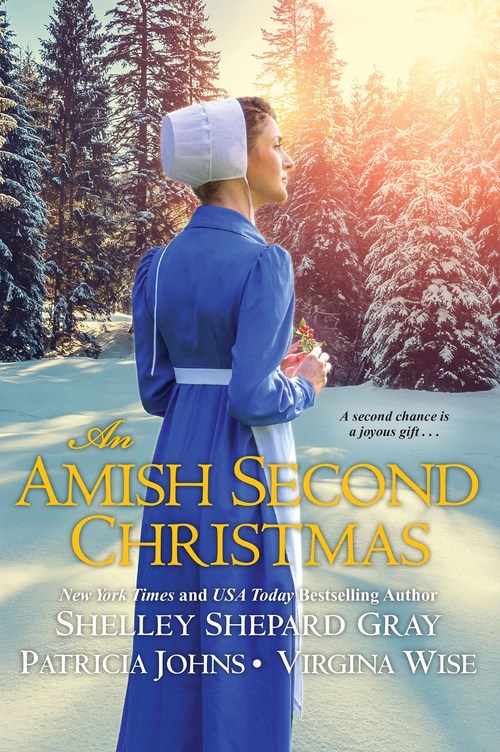 AN AMISH SECOND CHRISTMAS