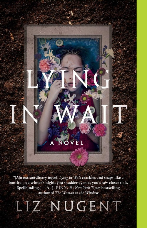 Lying in Wait by Liz Nugent