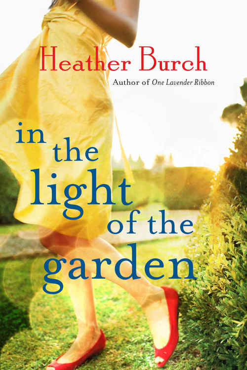 IN THE LIGHT OF THE GARDEN