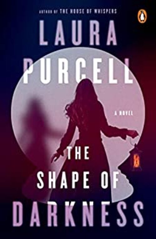 THE SHAPE OF DARKNESS: A NOVEL
