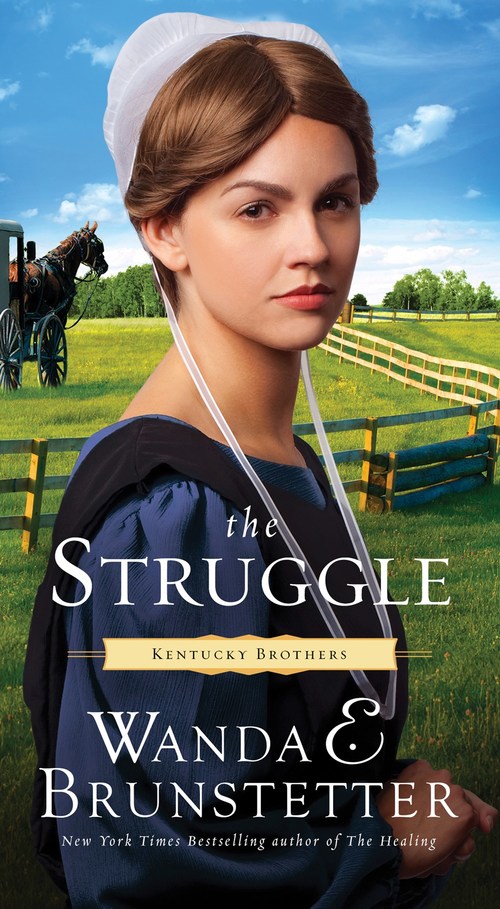 The Struggle by Wanda E. Brunstetter