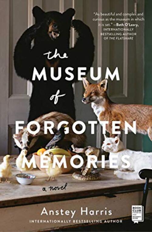THE MUSEUM OF FORGOTTEN MEMORIES