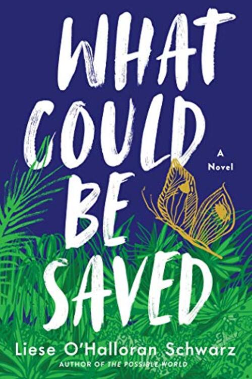 WHAT COULD BE SAVED
