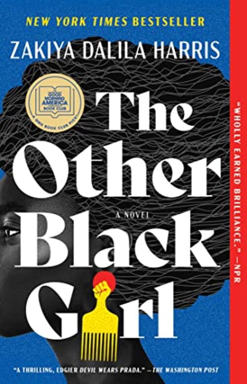 THE OTHER BLACK GIRL