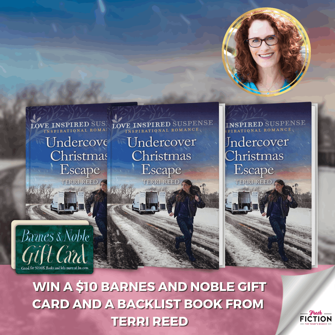 Christmas Capers & Cozy Reads: Win a B&N Gift Card & UNDERCOVER CHRISTMAS ESCAPE from Terri Reed!