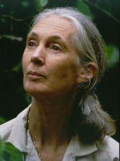 Jane Goodall