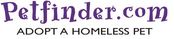. Petfinder.com