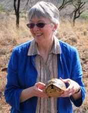 Ann Littlewood