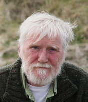 Dermot Healy