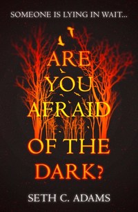 Are You Afraid of the Dark?