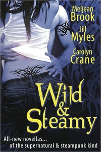 Wild & Steamy by Carolyn Crane