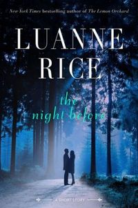The Night Before by Luanne Rice