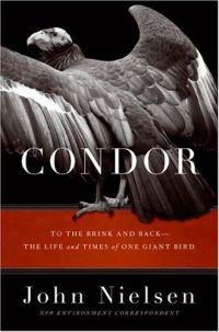 Condor by John Nielsen