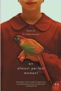 An Almost Perfect Moment by Binnie Kirshenbaum