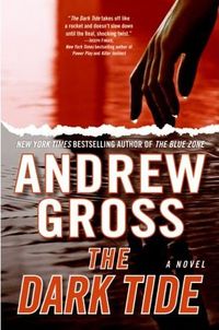 The Dark Tide by Andrew Gross