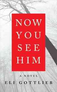 Now You See Him by Eli Gottlieb