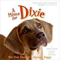 A Home for Dixie by Emma Jackson