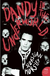 Dandy in the Underworld by Sebastian Horsley