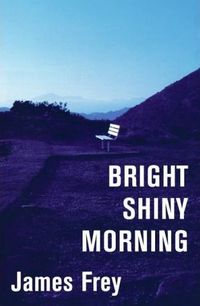 Bright Shiny Morning by James Frey