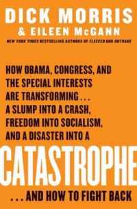 Catastrophe by Eileen McGann