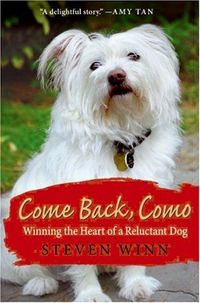 Come Back, Como by Steven Winn