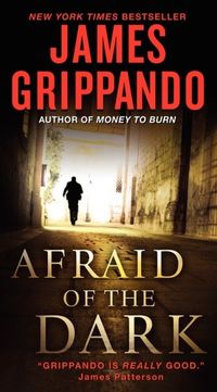 Afraid Of The Dark by James Grippando