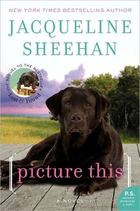 Picture This by Jacqueline Sheehan