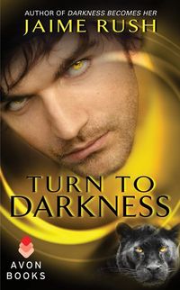 Turn to Darkness by Jaime Rush