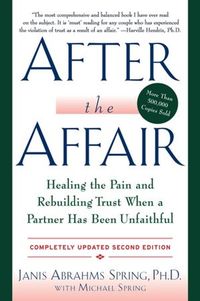 After The Affair by Janis Abrahms Spring