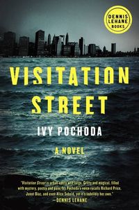 Visitation Street by Ivy Pochoda