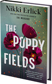The Poppy Fields