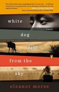 White Dog Fell From The Sky by Eleanor Morse
