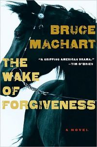 The Wake of Forgiveness by Bruce Machart