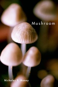 Mushroom by Nicholas P. Money